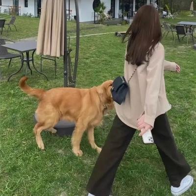花舞少女